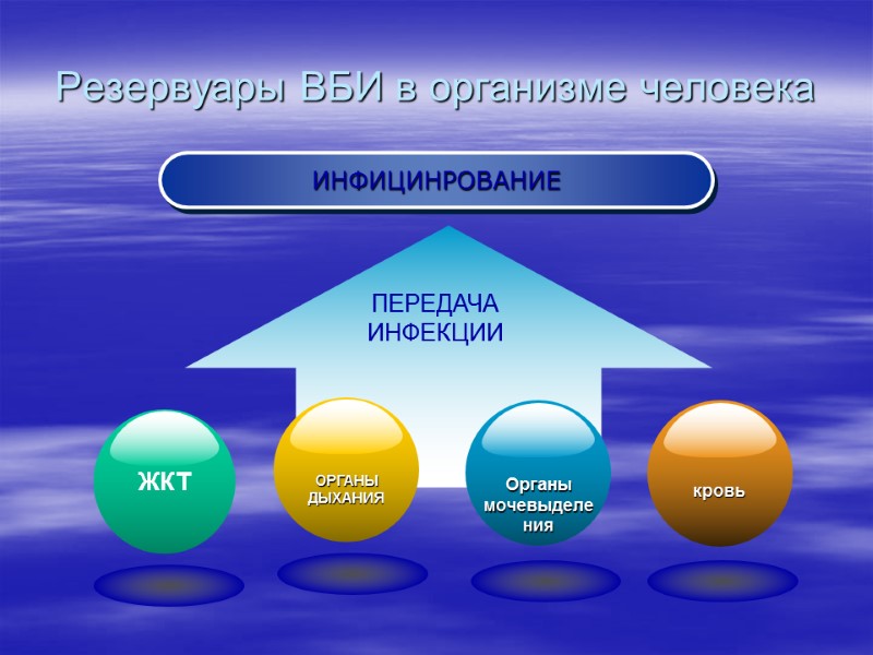 Резервуары ВБИ в организме человека ИНФИЦИНРОВАНИЕ ПЕРЕДАЧА ИНФЕКЦИИ